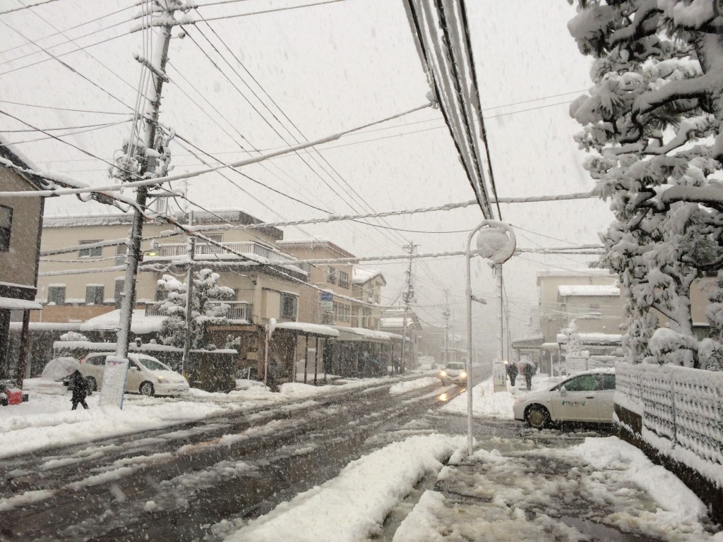 長岡市街地も大雪