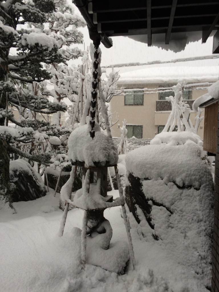 長岡市も大雪。雪囲いの風情、余裕なし03